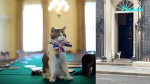 Meet Larry, The Cat Of 10 Downing Street Who Has Seen Six PMs Come And Go; Now He Awaits A Seventh