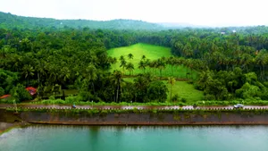 Weak Monsoon Pushes Goa With 59% Rainfall Deficit; Govt to Issue Water-Saving Guidelines