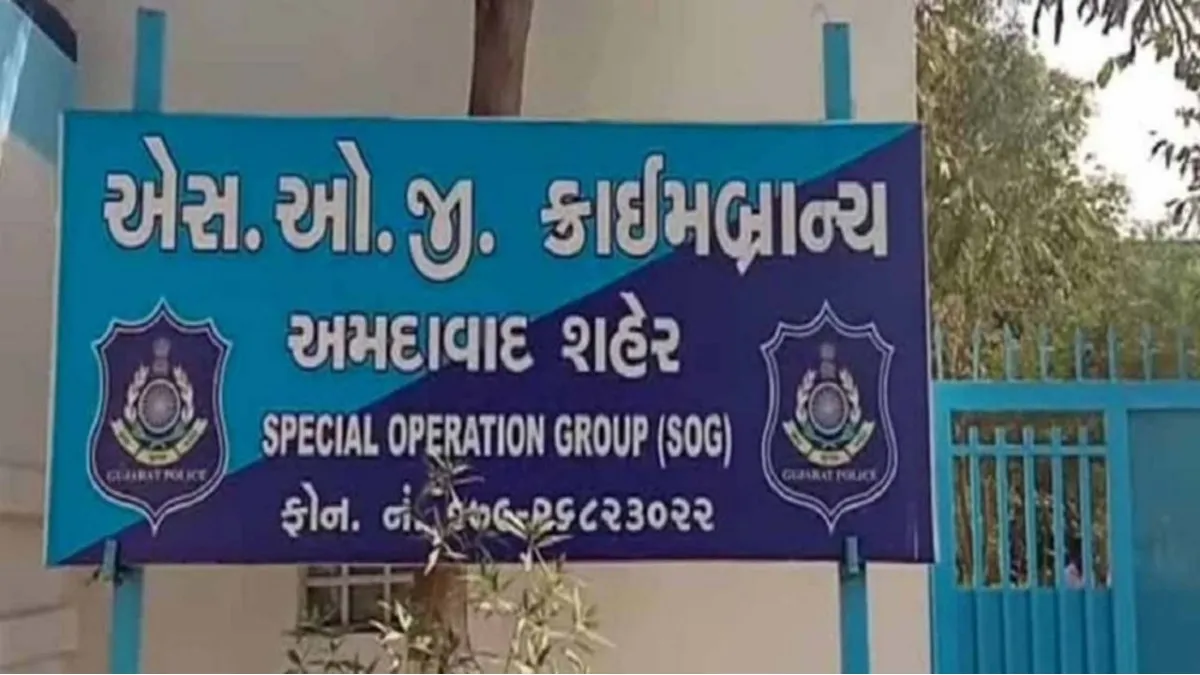 અમદાવાદ SOG એ નિકોલ વિસ્તારમાંથી 50 લાખનો હાઈબ્રીડ ગાંજો જપ્ત કર્યો | Ahmedabad SOG Seizes Hybrid Ganja Worth ₹50 Lakh in Nikol, Two Arrested - Gujarati Oneindia