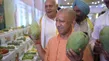Up Mango Festival 2026 Cm Yogi Adityanath Explains Why Up Mangoes Number One Lucknow News Hindi 1600859.html