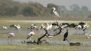 उत्तराखंड:  नंदौर वन्यजीव अभ्यारण्य ने जैव विविधता गैलरी का अनावरण 
