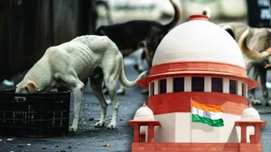 Punjab Stray Dogs Row: पंजाब में आवारा कुत्तों पर एक्शन के खिलाफ सोनू सूद, कहा- बेजुबानों की भी जान है