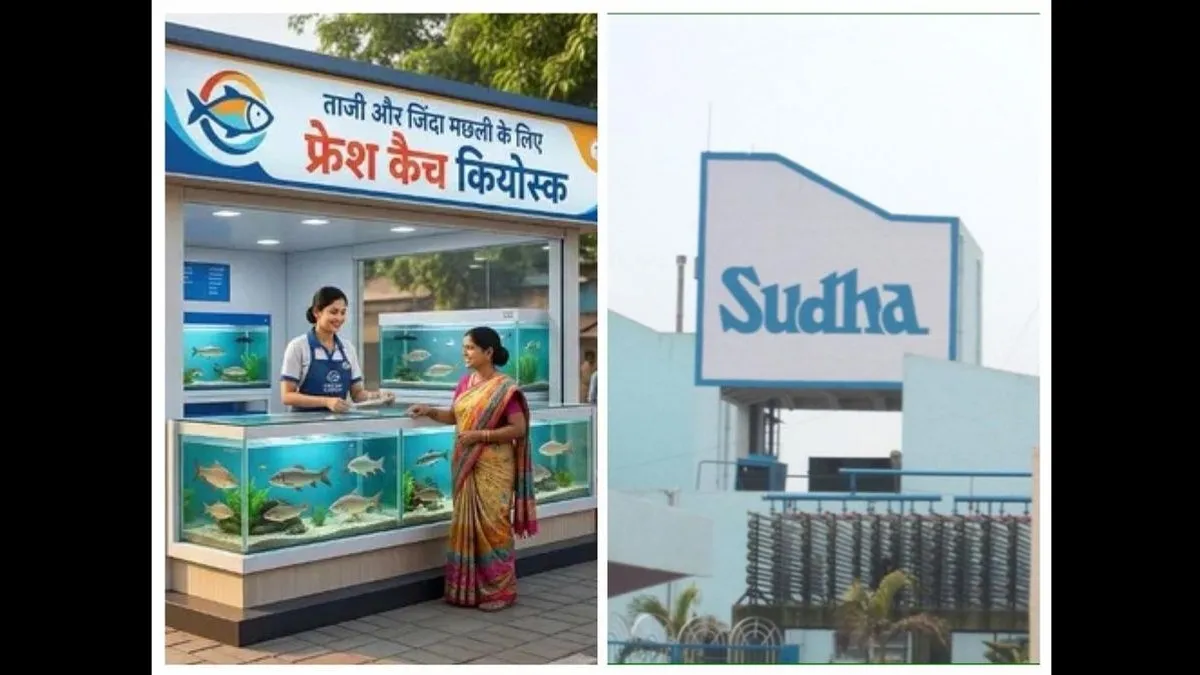 बिहार में खुलेंगे 100 फ्रेश कैच कियोस्क, सुधा की तर्ज पर बिकेंगी ताजी मछलियां; सरकार देगी 80% तक सहायता
