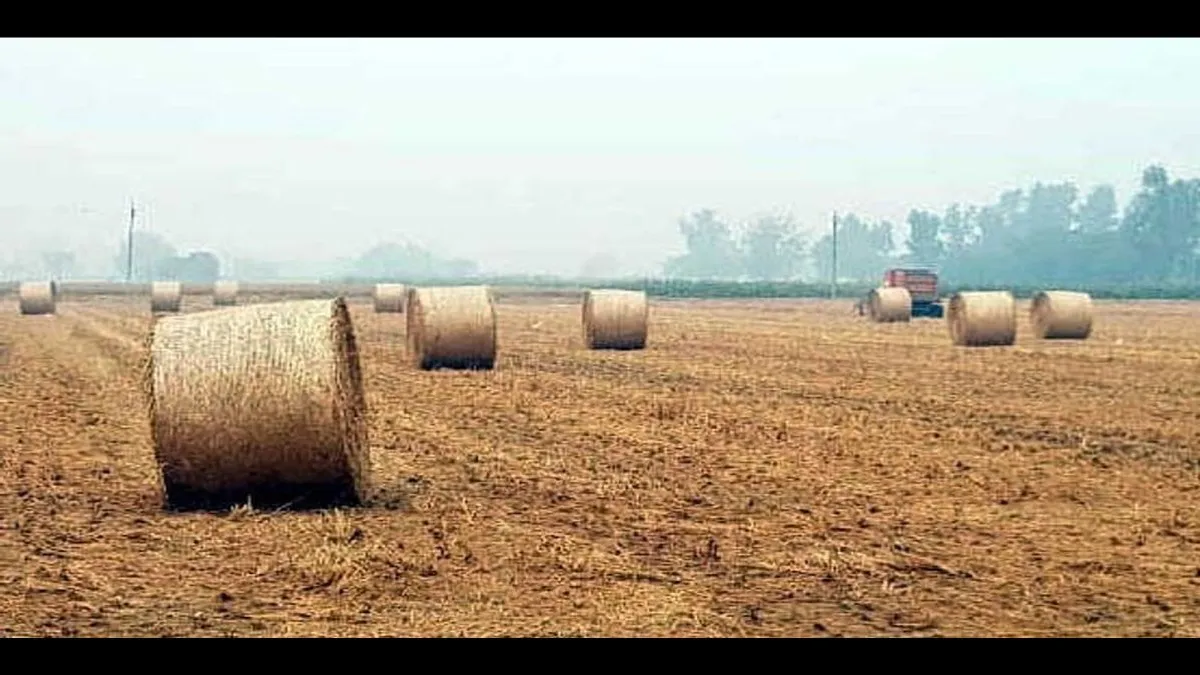 पंजाब में पराली प्रबंधन के लिए 600 करोड़ रुपये की योजना, किसानों को 80% तक सब्सिडी; जानें 2025 के मुकाबले कितने बदले हालात