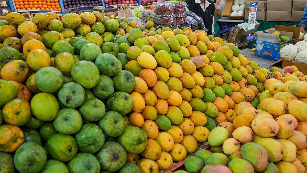Mango: ಮಾವು ಬೆಳೆಗಾರರ ಸಂಕಷ್ಟಕ್ಕೆ ಮಿಡಿದ ಕೇಂದ್ರ; ಬೆಂಬಲ ಬೆಲೆ ನಿಗದಿ, ಈ ತಳಿಗೆ ಸಿಗಲಿದೆ ಕ್ವಿಂಟಾಲ್‌ಗೆ ₹1750