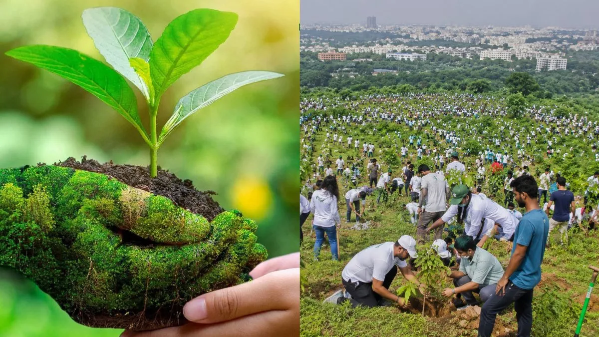 ಬೆಂಗಳೂರಿನಲ್ಲಿ ಒಂದೇ ದಿನ 15 ಲಕ್ಷ ಸಸಿ ನೆಡಲು ಸಿದ್ಧತೆ; ಈ ಮೂರು ಬಡಾವಣೆಯಲ್ಲಿ ಹಸಿರು ಕ್ರಾಂತಿ