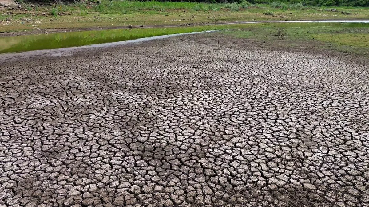 Rain: ರಾಜ್ಯದ 157 ತಾಲೂಕುಗಳು ಬರಪೀಡಿತ! ಅಧಿಕಾರದ ಅಮಲಿನಲ್ಲಿ ಸರ್ಕಾರ: ಆರ್.ಅಶೊಕ್ ಆಗ್ರಹವೇನು?