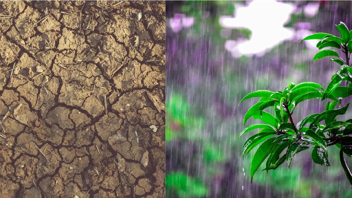 Drought: ಕರ್ನಾಟಕದಲ್ಲಿ ಬರ ಪರಿಸ್ಥಿತಿ ಗಂಭೀರ: ಕೇಂದ್ರ ಸರ್ಕಾರದ ಮೇಲೆ ಒತ್ತಡ ಹೇರುತ್ತೇವೆ ಎಂದ ಜಿ. ಪರಮೇಶ್ವರ್