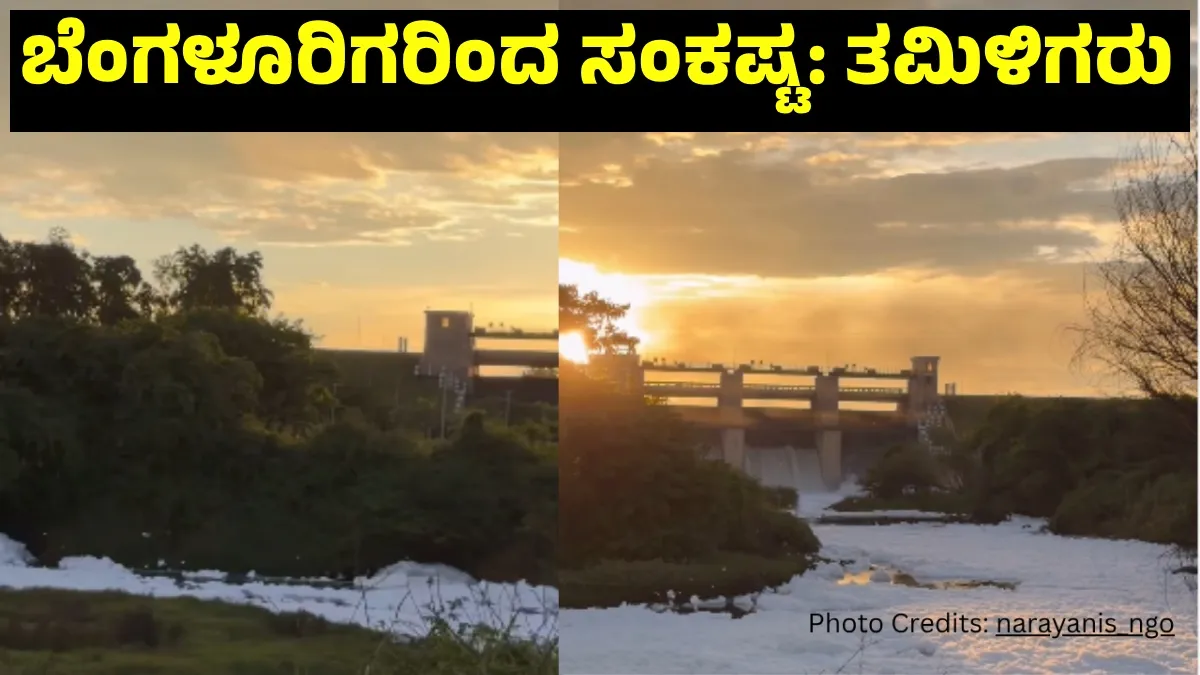 Viral Video: ಕಾವೇರಿ ನೀರಿನ ವಿಚಾರದಲ್ಲಿ ಹೊಸ ಖ್ಯಾತೆ ತೆಗೆದ ತಮಿಳಿಗರು, ಕನ್ನಡಿಗರು ಹೇಳಿದ್ದೇನು