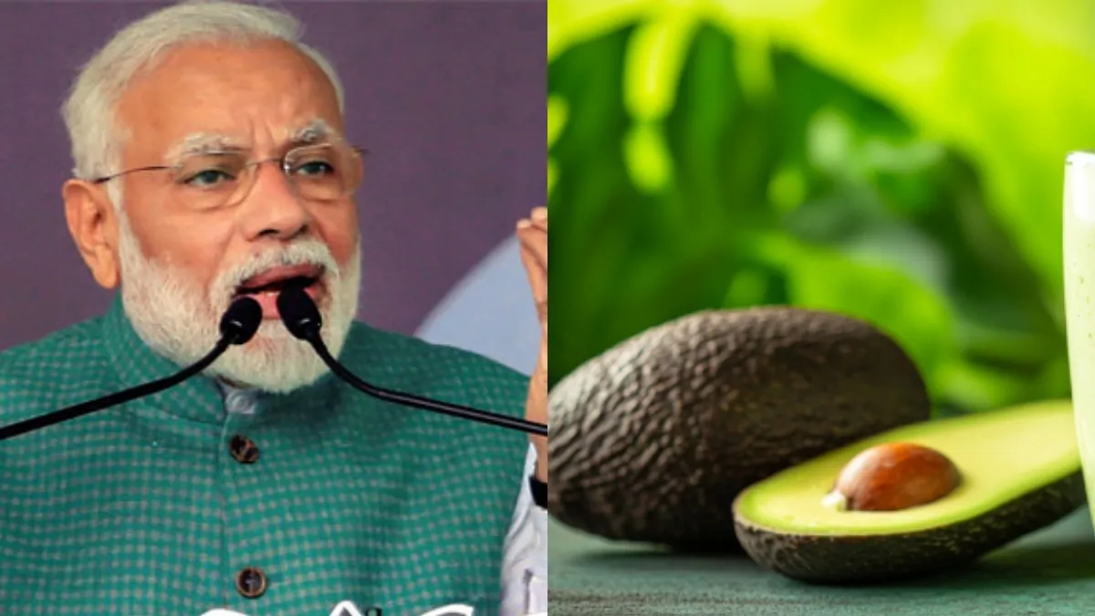 Butterfruit Farming: ಕರ್ನಾಟಕದ 'ಬಟರ್ ಫ್ರೂಟ್' ಬೆಳೆಗಾರರ ಯಶಸ್ಸು ಕೊಂಡಾಡಿದ ಪ್ರಧಾನಿ ಮೋದಿ