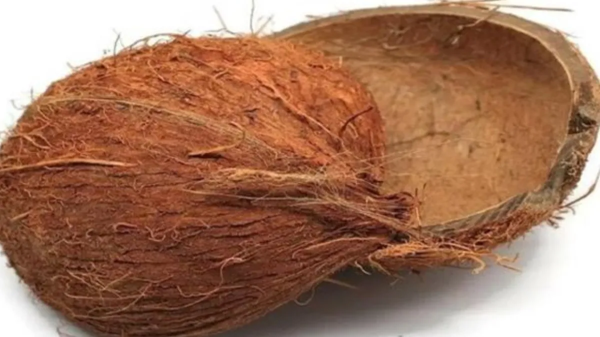 Coconut Shell: ತೆಂಗಿನ ಚಿಪ್ಪು 1,800 ರೂಪಾಯಿಗೆ ಮಾರಾಟ..