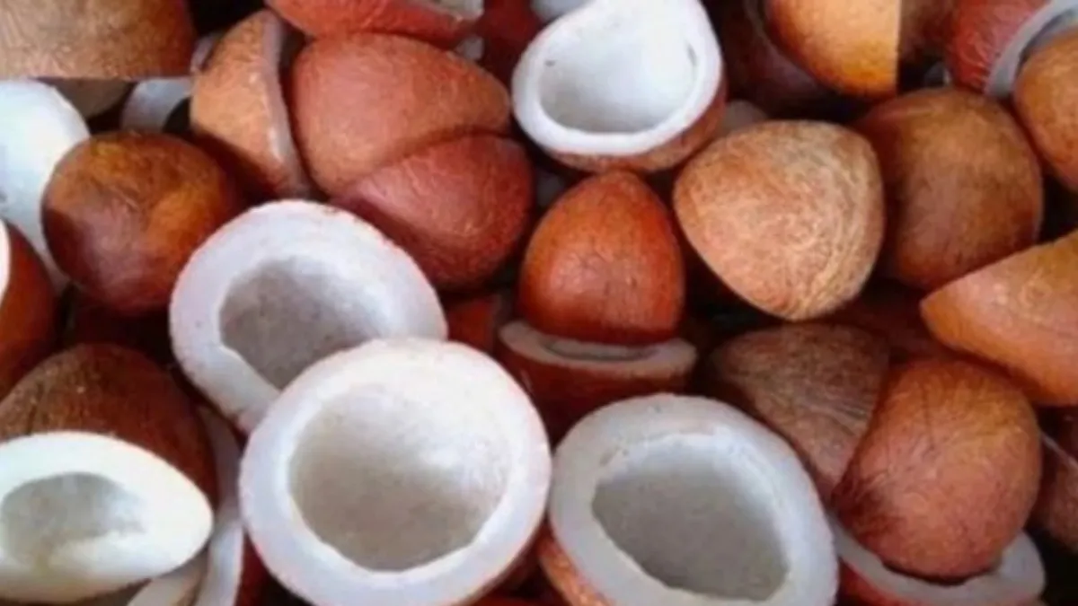 Copra Price: ತಿಪಟೂರು ಎಪಿಎಂಸಿ ಕೊಬ್ಬರಿ ಧಾರಣೆ.. ದಾಖಲೆಯ ಏರಿಕೆ