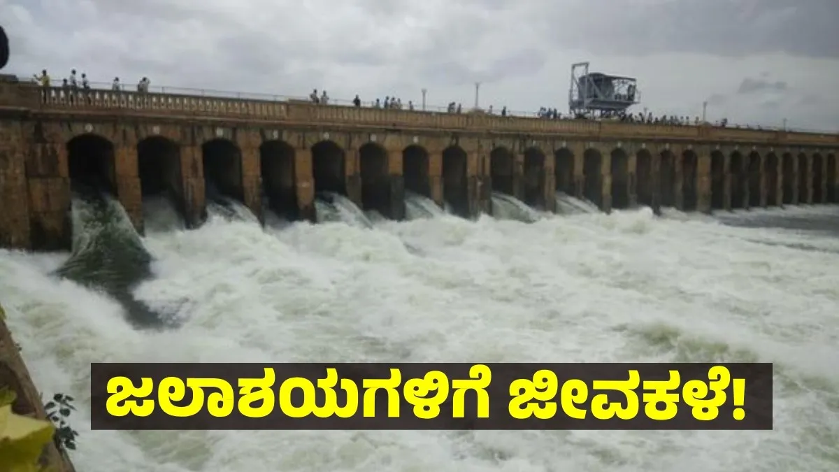 Karnataka Dam Water Level Aug 1:ಕೆಆರ್ಎಸ್ ಸೇರಿ 13 ಪ್ರಮುಖ ಜಲಾಶಯಗಳ ನೀರಿನ ಮಟ್ಟ, 2 ದಿನ ಮಳೆ