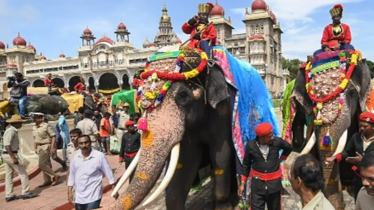 Mysuru Dasara 2026: ಅಂಬಾರಿ ಹೊರುವ ಅಭಿಮನ್ಯು ನಿವೃತ್ತಿ; ಮಹೇಂದ್ರನಿಗೆ ಸಿಗುತ್ತಾ ಪಟ್ಟ?