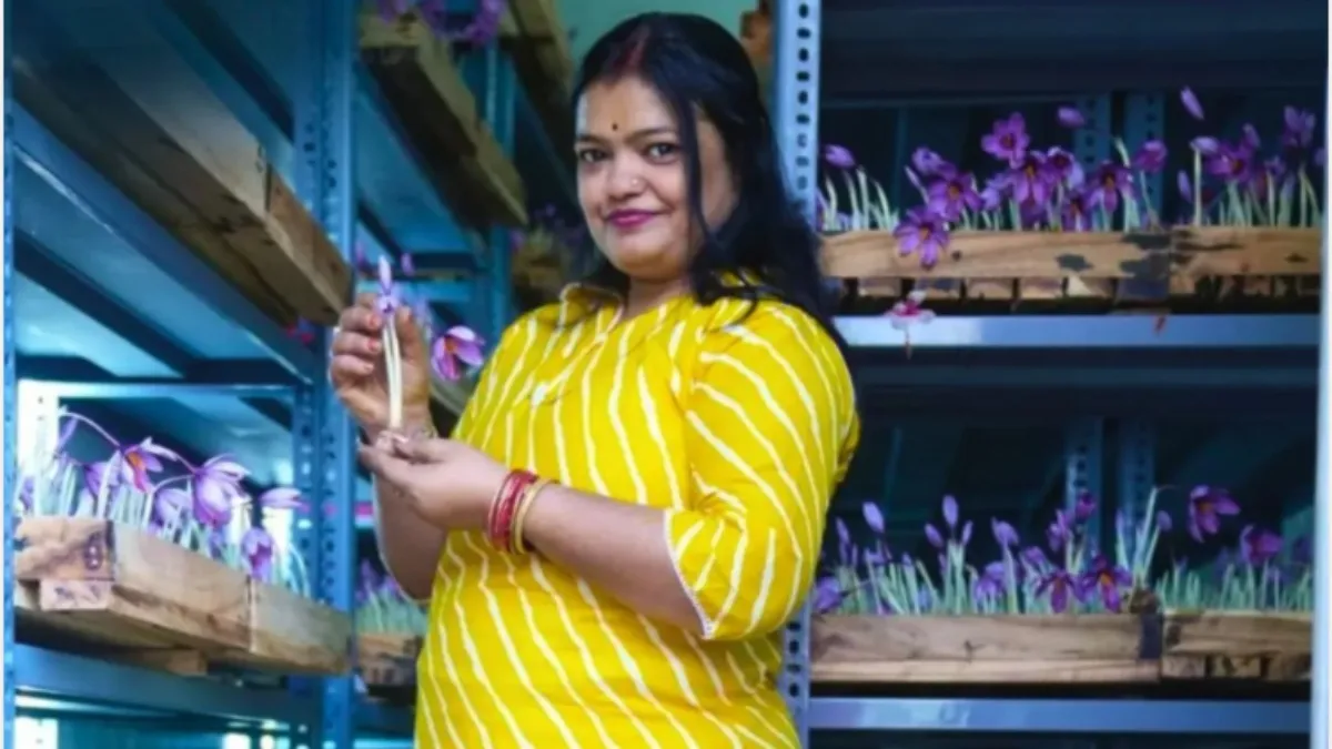 ಸಣ್ಣ ಕೋಣೆಯಲ್ಲಿ ಕೇಸರಿ ಬೆಳೆದು ಅಸಾಧ್ಯವಾದದ್ದನ್ನು ಸಾಧಿಸಿದ ಛಲಗಾತಿ! ಇದು ಲಕ್ಷ ಲಕ್ಷ ಆದಾಯದ ಕಥೆ