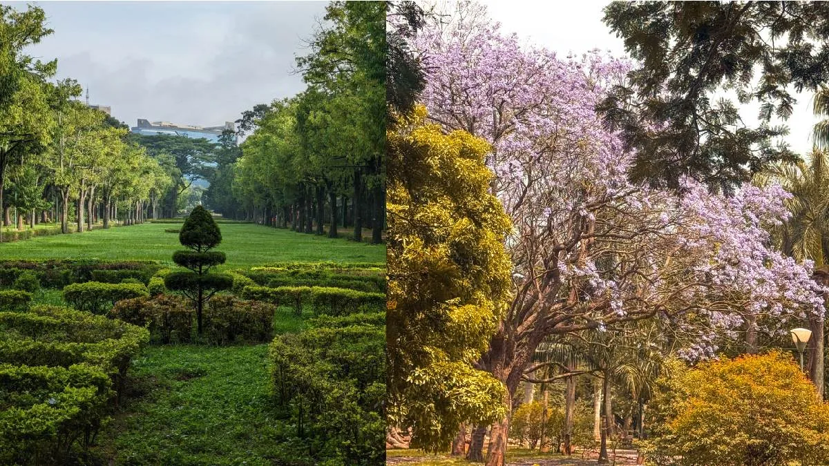 Park: ಬೆಂಗಳೂರು ಸೇರಿ ಕರ್ನಾಟಕದ ಪಾರ್ಕ್ಗಳಲ್ಲಿ ಹೊಸ ಯೋಜನೆ: ಶೇ.5 ರಷ್ಟು ಜಾಗ ಬಳಕೆಗೆ ಪ್ಲ್ಯಾನ್!