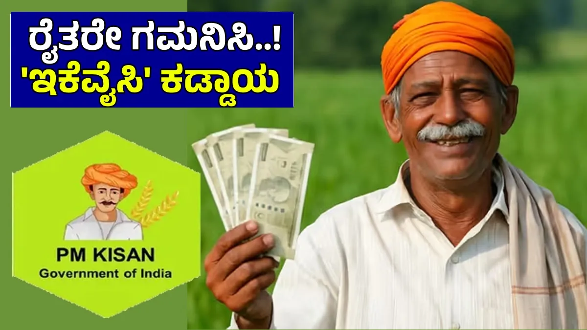 PM Kisan: 24ನೇ ಕಂತಿನ ₹2,000 ಖಾತೆಗೆ ಬರಬೇಕಾದರೆ ರೈತರು ಈ ಕೆಲಸ ಮೊದಲು ಮಾಡಲೇಬೇಕು!