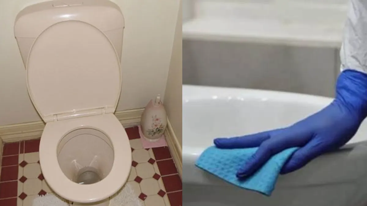 Toilet Tips: ಮನೆಯ ಟಾಯ್ಲೆಟ್‌ನಲ್ಲಿ ಅಂಟಿ ಕುಳಿತ ಕಲೆ ತೆಗೆಯಲು ಇಲ್ಲಿದೆ ಸುಲಭ ಉಪಾಯ