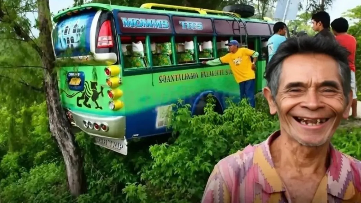 500 ಅಡಿ ಪ್ರಪಾತಕ್ಕೆ ಬೀಳುತ್ತಿದ್ದ ಬಸ್‌ಗೆ ತಡೆಯಾದ 35 ವರ್ಷಗಳ ಹಿಂದೆ ನೆಟ್ಟ ಒಂದು ಮರ: 32 ಪ್ರಯಾಣಿಕರು ಪಾರು
