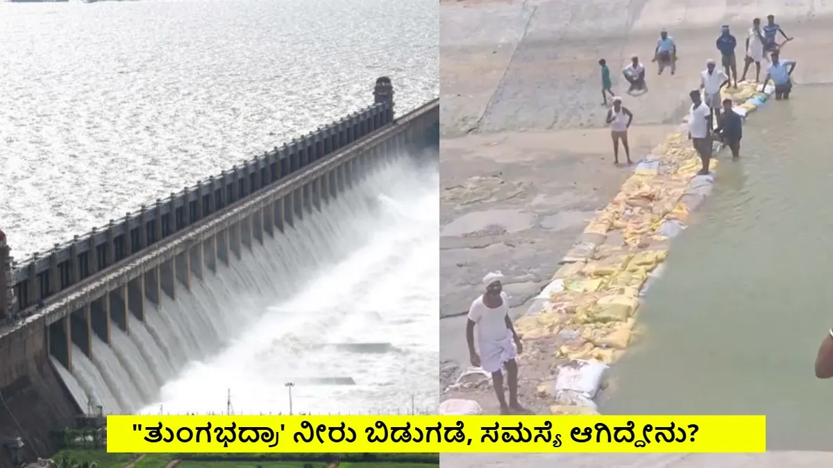 Tungabhadra Dam: ಕಾವೇರಿ ಬೆನ್ನಲ್ಲೇ ತುಂಗಭದ್ರಾ ಸಮಸ್ಯೆ: ಆಂಧ್ರಕ್ಕೆ ಹೋಗದಂತೆ ನೀರು ತಡೆದ ರೈತರು, ಆಕ್ರೋಶ!
