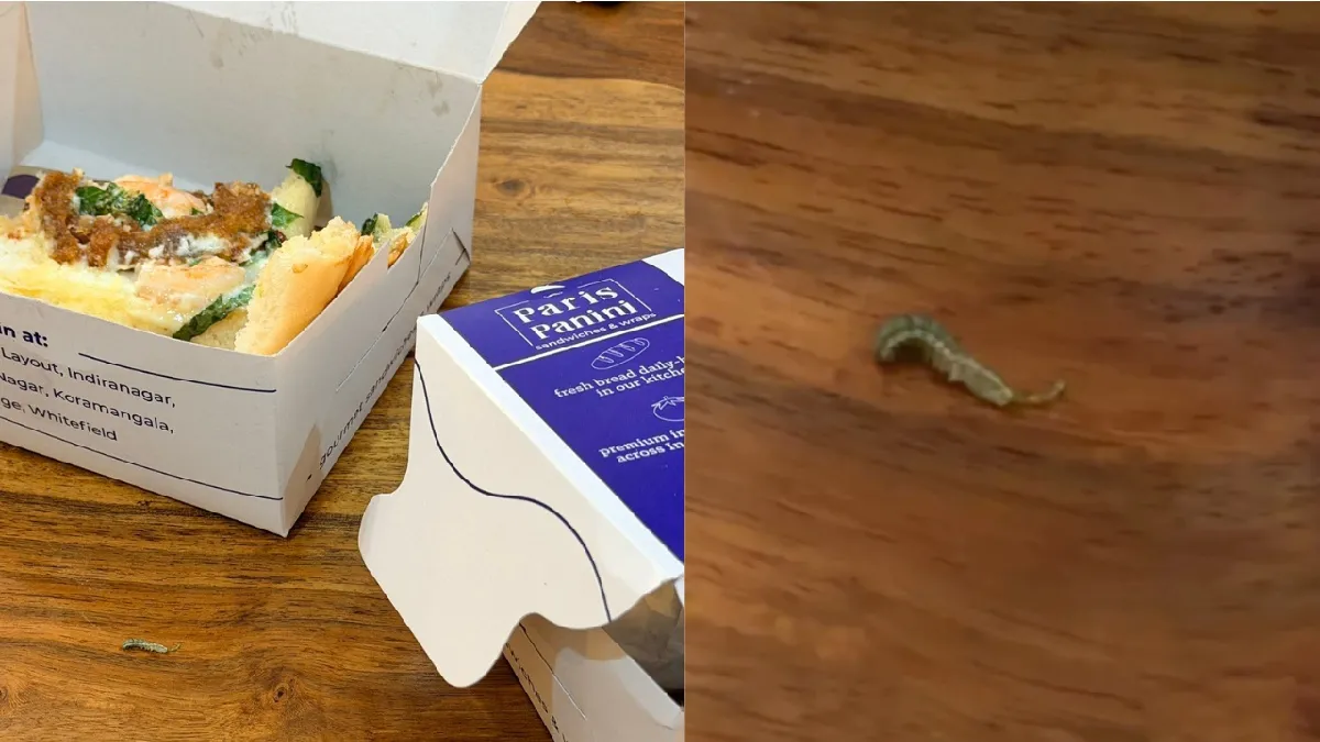 Bengaluru Food: Paris Panini ಆಹಾರದಲ್ಲಿ ಜೀವಂತ ಹುಳು ಪತ್ತೆ ಆರೋಪ; ಗ್ರಾಹಕರ ದೂರಿಗೆ ಕ್ಷಮೆ ಕೇಳಿದ ಸಂಸ್ಥಾಪಕ!