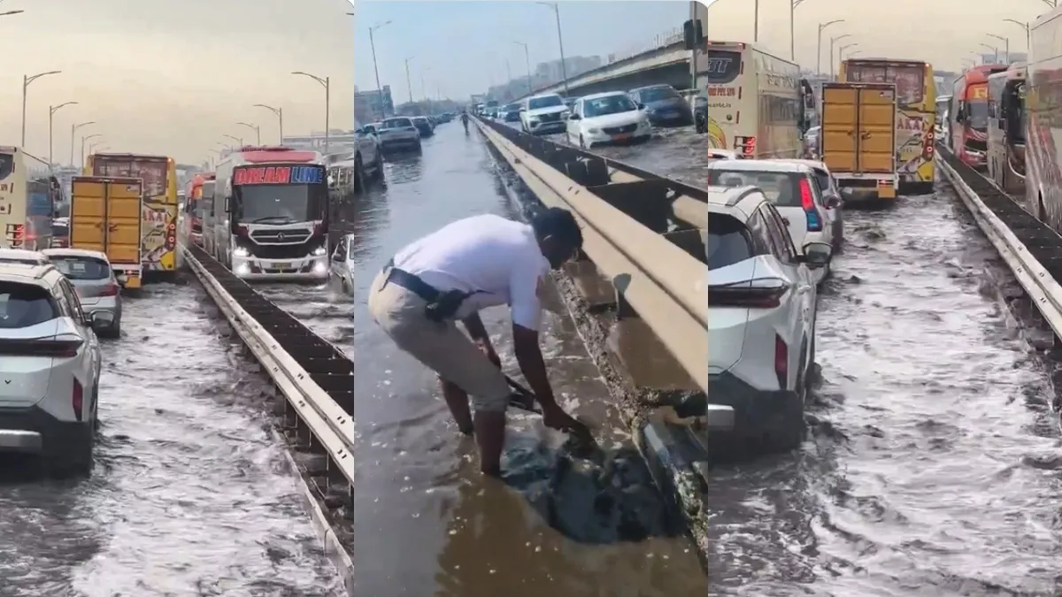Bengaluru Flood: ಸ್ವಿಮ್ಮಿಂಗ್ ಪೂಲ್ ಆಯ್ತು ಎಲೆಕ್ಟ್ರಾನಿಕ್ ಸಿಟಿ ಫ್ಲೈಓವರ್! ಒಂದೇ ಮಳೆಗೆ ಅವಾಂತರ, ವಿಡಿಯೋ