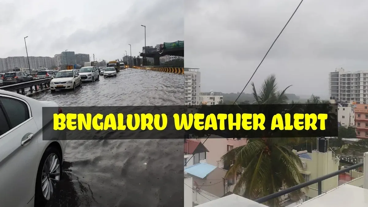 Bengaluru Rains: ನಗರದಲ್ಲಿಂದು ವ್ಯಾಪಕ ಮಳೆ, ತಂಪಾಯಿತು ವಾತಾವರಣ! 3 ದಿನದ ಹವಾಮಾನ ಮುನ್ಸೂಚನೆ