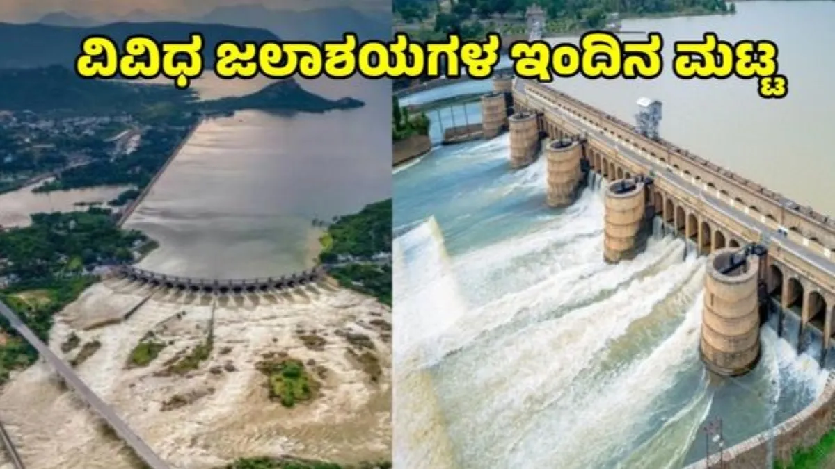 Dam Water Level: ಕರ್ನಾಟಕದ ಜಲಾಶಯಗಳಲ್ಲಿ ಎಷ್ಟಿದೆ ನೀರು? ಆಲಮಟ್ಟಿಯಿಂದ KRSವರೆಗೆ ಇಂದಿನ ಸಂಪೂರ್ಣ ಮಾಹಿತಿ