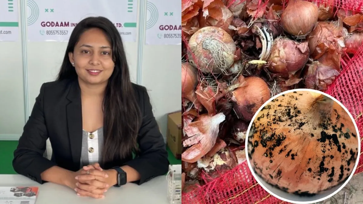 ರೈತನ ಮಗಳ ಅದ್ಭುತ ಆವಿಷ್ಕಾರ: ಗೋದಾಮಿನಲ್ಲೇ ಈರುಳ್ಳಿ ಕೊಳೆಯುವುದನ್ನ ತಡೆದು ಕೋಟ್ಯಂತರ ರೂ. ಉಳಿಸುತ್ತಿರುವ ಕಲ್ಯಾಣಿ