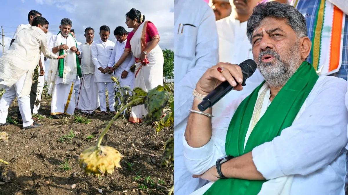 ಸಂಕಷ್ಟದಲ್ಲಿರುವ ರೈತರಿಗೆ ಗುಡ್‌ನ್ಯೂಸ್‌: ಮತ್ತಷ್ಟು ತಾಲ್ಲೂಕುಗಳು ಬರಪೀಡಿತ ಘೋಷಣೆ: ಡಿಕ ಶಿವಕುಮಾರ್