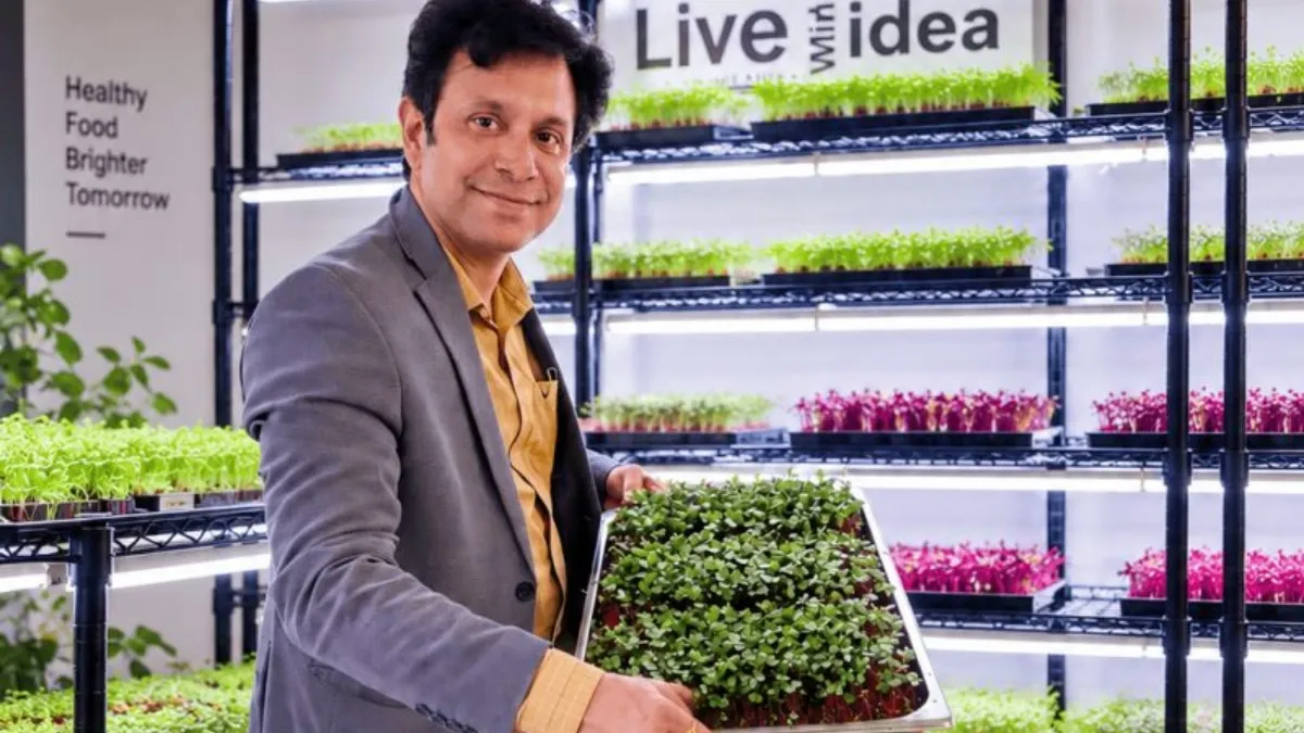 90 ಲಕ್ಷದ ಕೆಲಸ ಬಿಟ್ಟು, ಸೋತರೂ ಛಲ ಬಿಡದೆ 30 ಸಾವಿರದಲ್ಲಿ ಮೈಕ್ರೋಗ್ರೀನ್ಸ್ ಉದ್ಯಮ ಕಟ್ಟಿ ಕೋಟ್ಯಾಧಿಪತಿಯಾದ ಮೋಹಿತ್