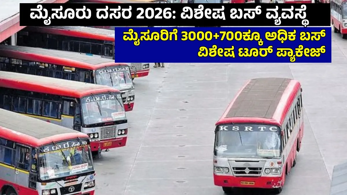 KSRTC: ಮೈಸೂರು ದಸರಾ, ರಜೆ ಪ್ರಯುಕ್ತ 3000ಕ್ಕೂ ಹೆಚ್ಚು ಬಸ್‌ಗಳ ವ್ಯವಸ್ಥೆ, ಟೂರ್ ಪ್ಯಾಕೇಜ್ ಘೋಷಣೆ, ಸಂಪೂರ್ಣ ವೇಳಾಪಟ್ಟಿ