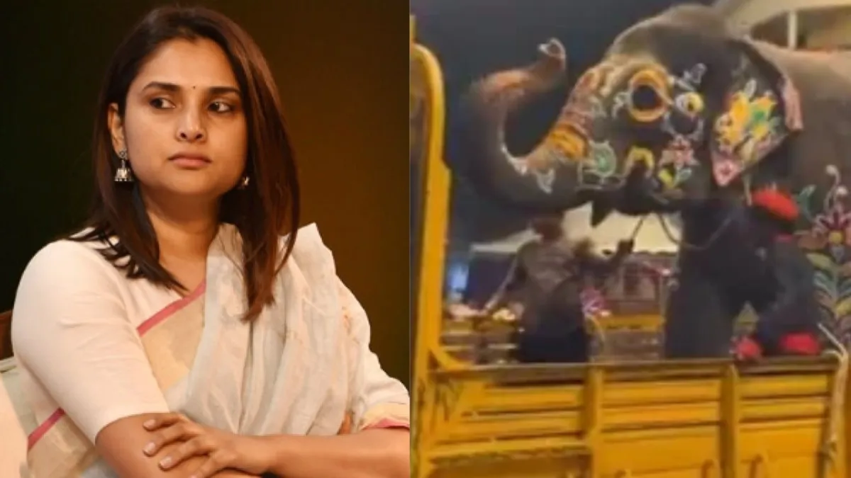 Ramya Divya Spandana: ಮೈಸೂರು ದಸರಾ ಆನೆಗಳ ಬಗ್ಗೆ ಪೋಸ್ಟ್‌ - ವಿಡಿಯೋ ಹಂಚಿಕೊಂಡ ನಟಿ ರಮ್ಯಾ, ಹೇಳಿದ್ದೇನು