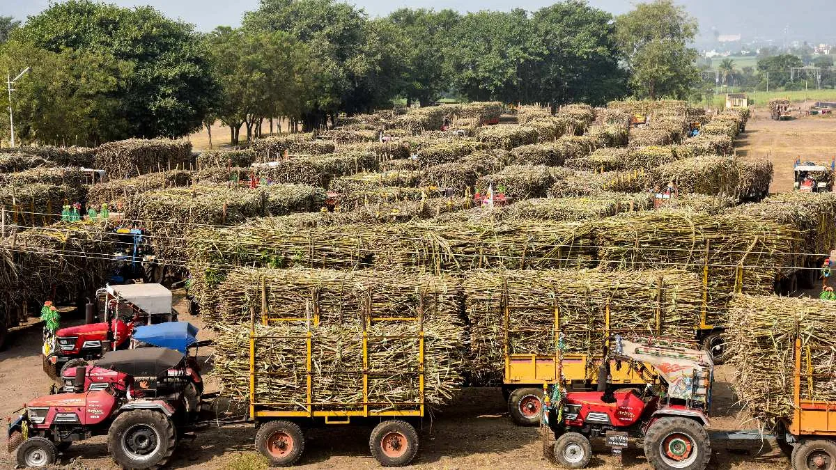 Sugarcane Farmers: ಕಬ್ಬು ಬೆಳೆಗಾರರಿಗೆ ಭಾರೀ ಸಮಸ್ಯೆ ಕೇಂದ್ರ ಸರ್ಕಾರದ ಬಾಗಿಲು ತಟ್ಟಿದ ಕರ್ನಾಟಕದ ರೈತರು!
