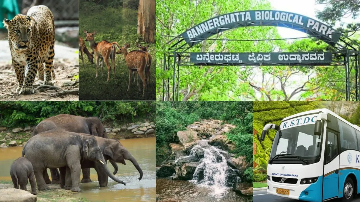 Tour Package: ದಸರಾ ರಜೆಯಲ್ಲಿ ಮಕ್ಕಳೊಂದಿಗೆ ಒನ್ ಡೇ ಟ್ರಿಪ್; KSTDC ಬನ್ನೇರುಘಟ್ಟ ಪ್ಯಾಕೇಜ್, ಡಿಟೇಲ್ಸ್ ಇಲ್ಲಿದೆ