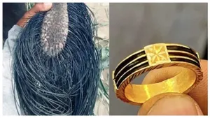 யானை முடி மோதிரத்தால் வரும் அதிர்ஷ்டம்.. இந்த விரலில்தான் போடணும்.. ஏற்றம் தரும் தங்கம் யானை மோதிரம்