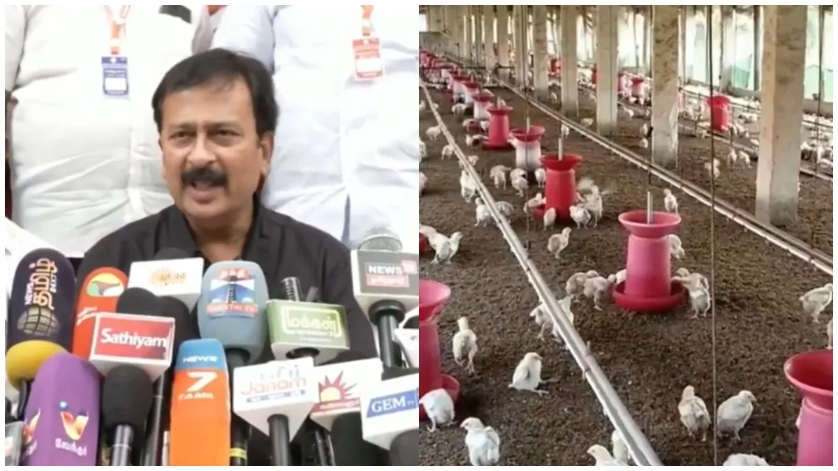 தமிழ்நாட்டில் ஜூலை 31 முதல் சிக்கன் விற்பனை நிறுத்தம்.. 60,000 கடைகள் மொத்தமாக மூடல்