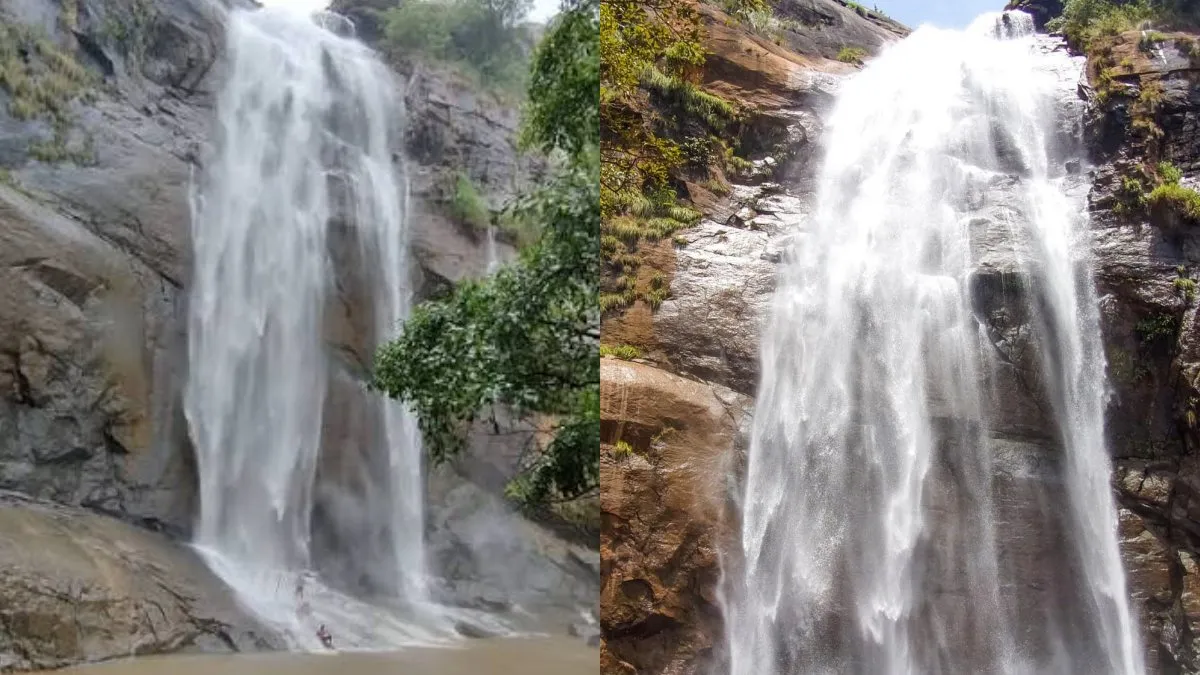 கொல்லிமலை ஆகாய கங்கை நீர்வீழ்ச்சியில் சட்டென மாறிய காட்சி .. அவசர வார்னிங்