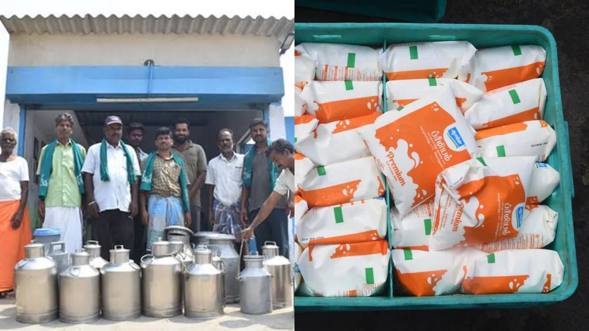 24ஆம் தேதி முதல் ஆவினுக்கு பால் வழங்க மாட்டோம்.. பால் உற்பத்தியாளர்கள் அதிரடி முடிவு