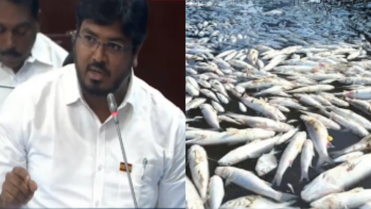 “எண்ணூர் கொசஸ்தலை ஆற்றில் மீன்கள் செத்து மிதக்க தொழிற்சாலை கழிவு காரணம் அல்ல"- அமைச்சர் ராஜீவ் பதில்