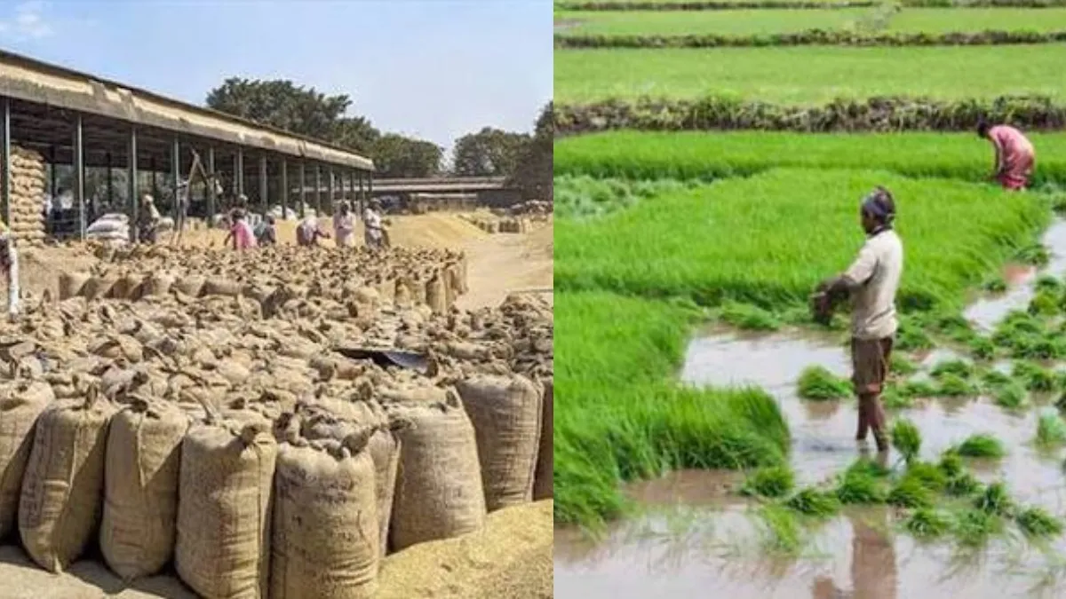 ரீல்ஸ் போட்டது போதும்.. ரியலுக்கு வாங்க சாரே! தலைவிரித்தாடும் லஞ்சம்! வேதனையில் வாடும் விவசாயிகள்!