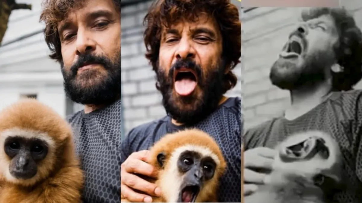 நடிகர் விக்ரமுக்கு வனத்துறை நோட்டீஸ்! வீடியோவில் இருந்த லார் கிப்பான் குரங்கு எங்கே?
