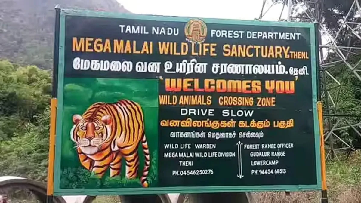 மேகமலை ஆக்கிரமிப்பாளர் பட்டியலில் ராணுவ வீரர்கள் டூ சார்பதிவாளர்.. அரசு ஊழியர்கள் 118 பேர் யார்?