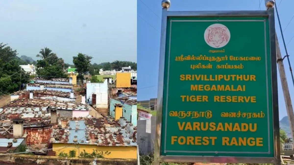விஸ்வரூபமாகும் மேகமலை விவகாரம்.. ஆக்கிரமிப்பாளர்களில் 118 பேர் அரசு ஊழியர்கள்! ஆக்ஷன் எடுக்க ஆர்டர்