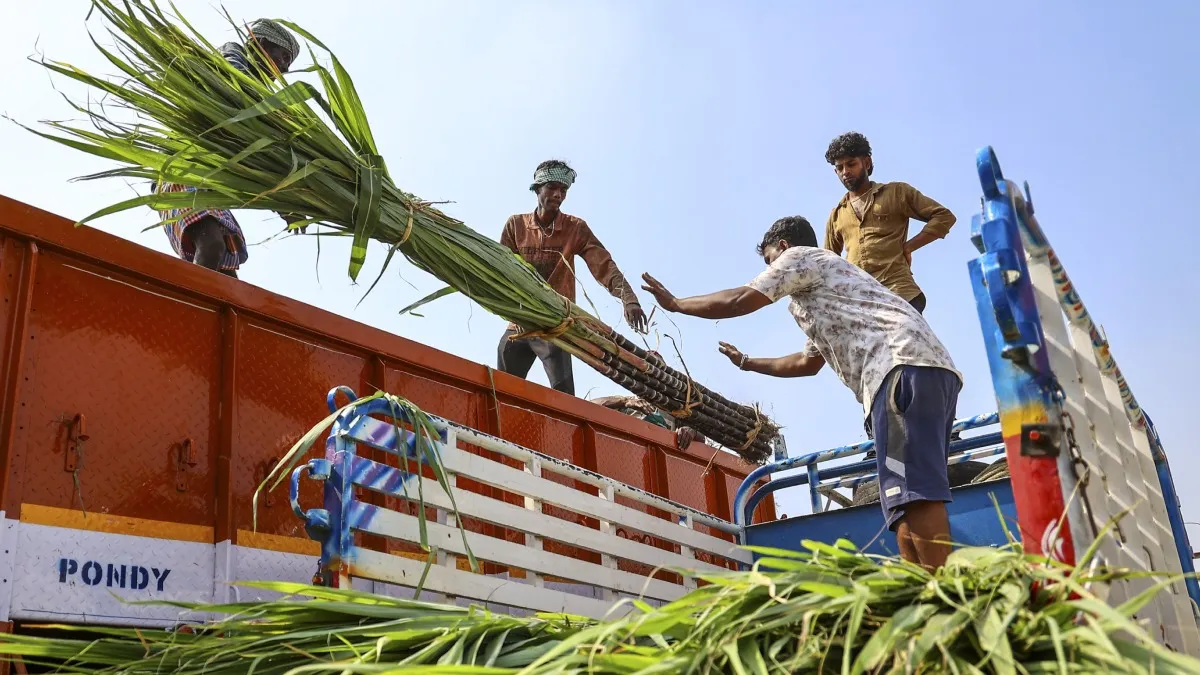 அந்நிய செலாவணி சேமிக்க எத்தனால்! இப்போ சர்க்கரைக்காக மீண்டும் செலவு! இந்தியாவுக்கு வந்த புது சிக்கல்