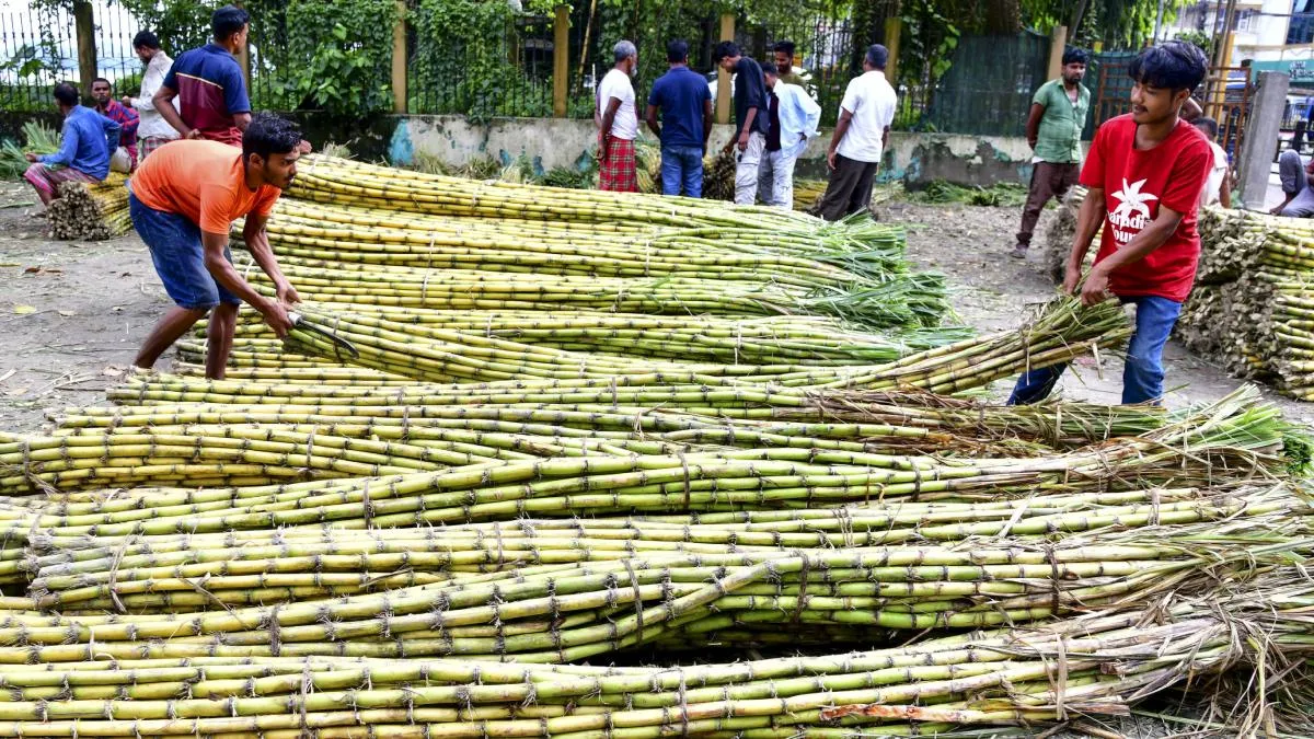 உச்சத்தில் பறக்கும் சர்க்கரை விலை! "பண்டிகை காலத்தில் மேலும் மோசமாகும்!" நேரடியாக எச்சரித்த வல்லுநர்