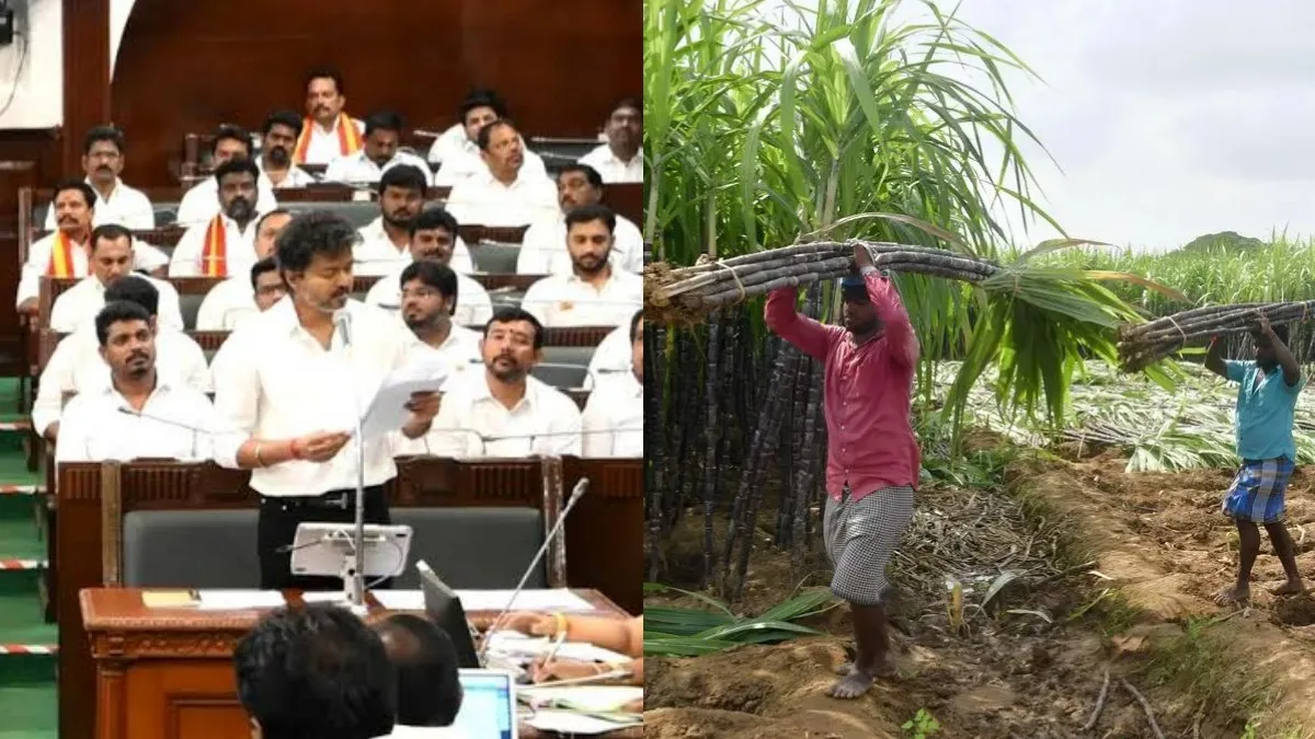 கரும்பு விவசாயிகளுக்கு இனிப்பான செய்தி..டன்னுக்கு ரூ.709! திமுக எதுவுமே செய்யவில்லையா? பறந்த கண்டனம்
