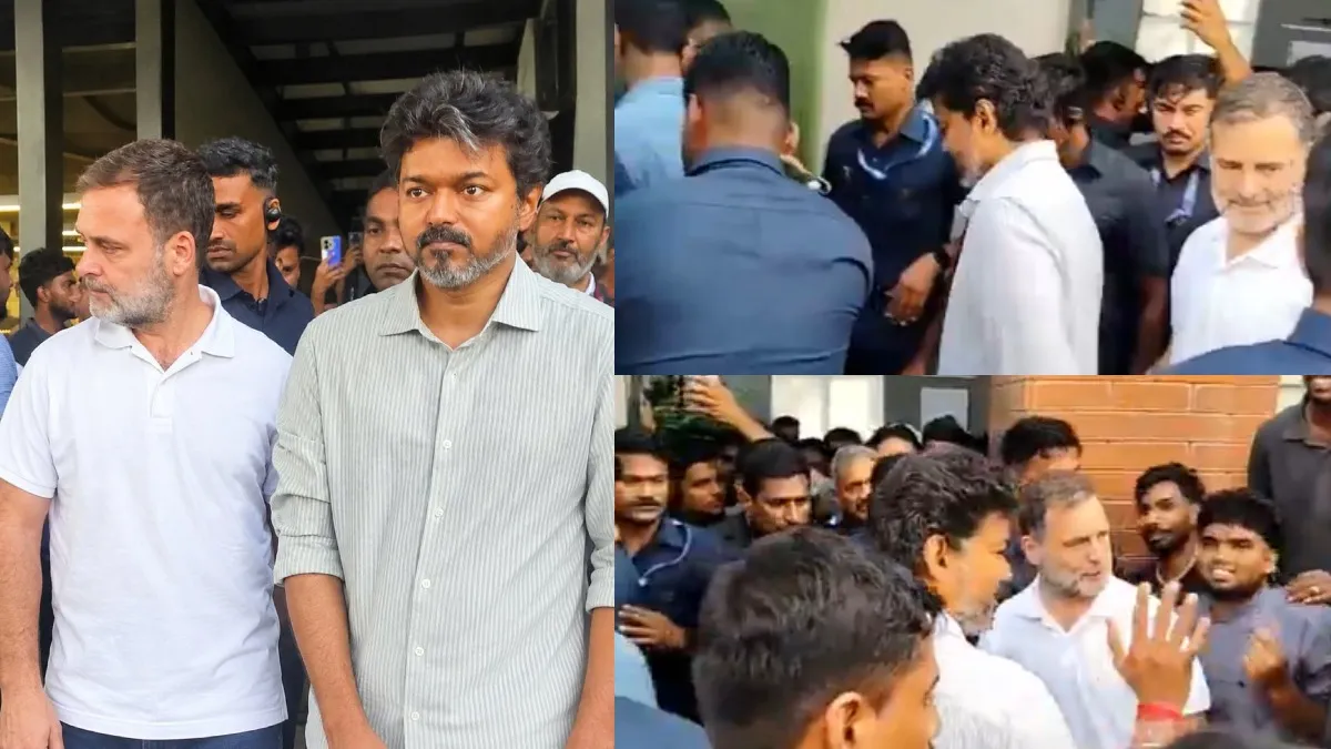 முதல்வர் விஜய் - ராகுல் காந்தி ஒரே காரில் பயணம்! பாலவாக்கம் கஃபேயில் காபி குடித்தபடி ஆலோசனை