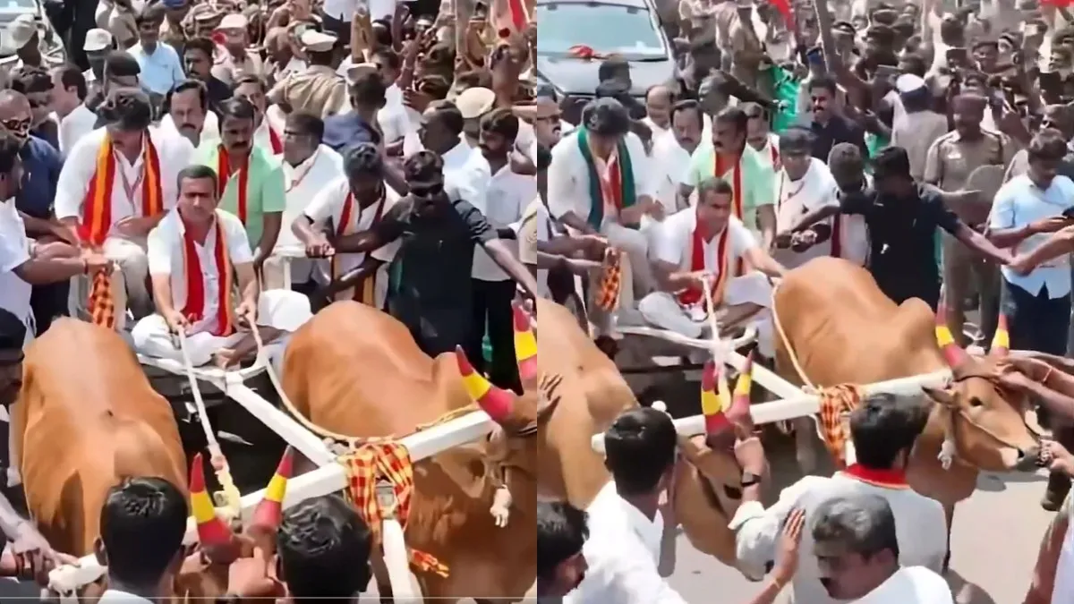 விஜய்க்கு மாட்டு வண்டி ஓட்டியவர் தேடப்படும் குற்றவாளி? FIRக்கு பின் தவெக அரசு மிரட்டி ஓட்ட வைத்தது?