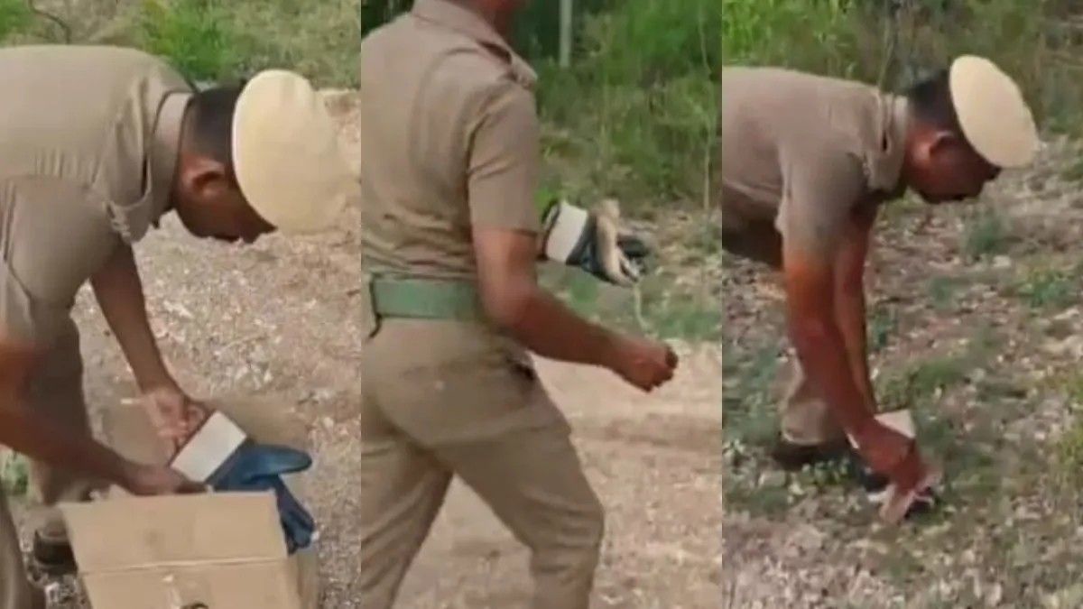 திருச்சி KK நகர் வீட்டில் அரிய உயிரினம்! கிட்ட போய் பார்த்தால் தான் தெரிந்தது அந்த விருந்தாளி யாருனு